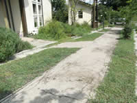 最小限の舗装の緑歩道（小径）舗装も透水性